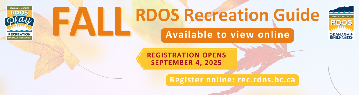 View programs online
