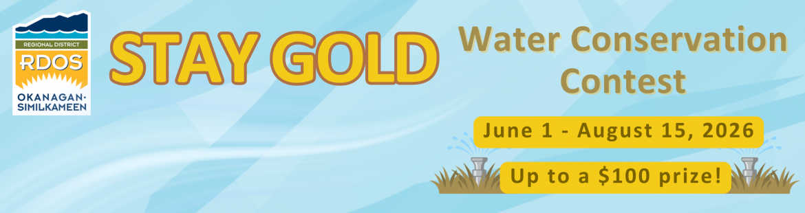 Stay Gold this summer and win!
