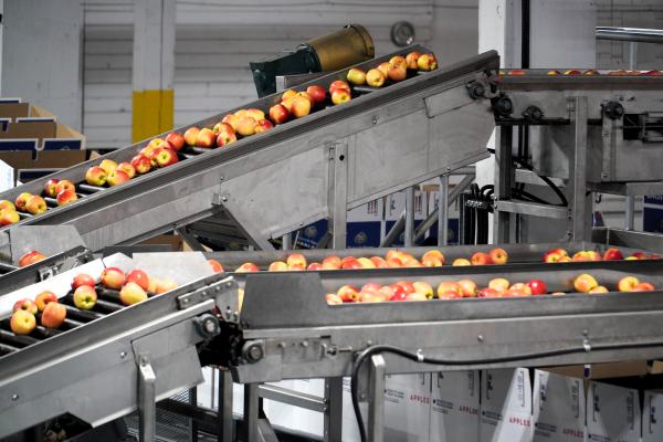 20240223 BC Tree Fruits Tour Apples