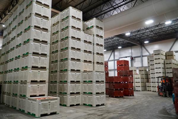 20240223 BC Tree Fruits bins