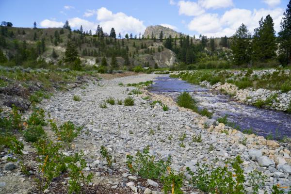 20240516 Lower Trout Creek