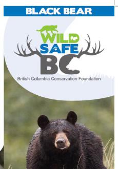 Black Bear WildSafe