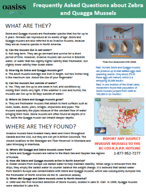 Mussels Factsheet