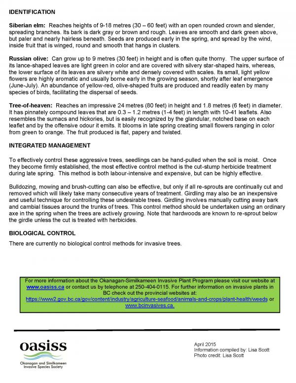 Invasive Trees updated Dec 2023 jpg Page 6
