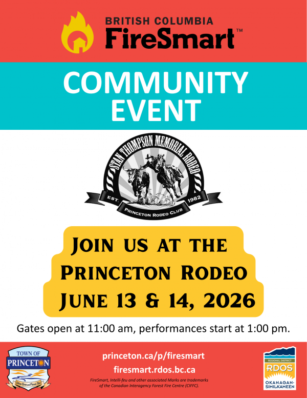 Princeton Rodeo poster2