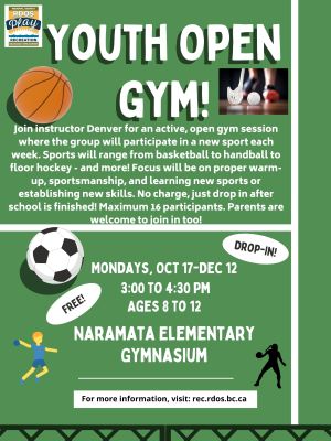 NAR Youth Open Gym