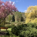 lionsgardens
