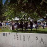 selby 6 lg