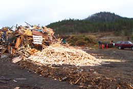 cml_woodwaste_01.jpg