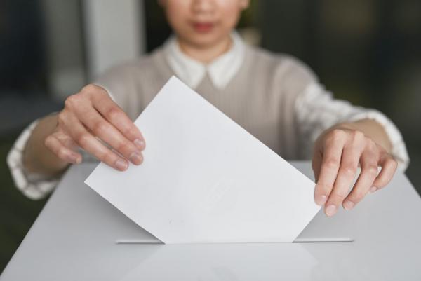 Election Ballot Photo