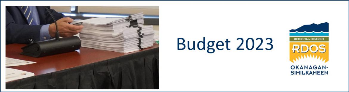 View the draft budget