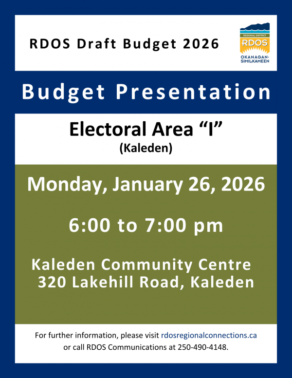 Budget presentation Area I Kaleden2