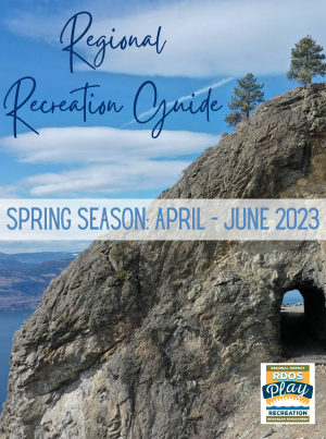 SpringGuideWebsite