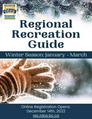 Winter Guide Website