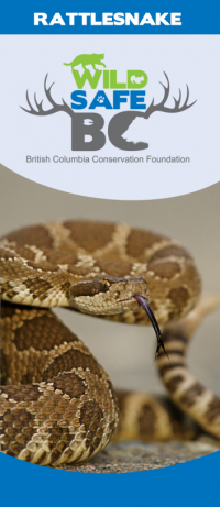 snake brochure