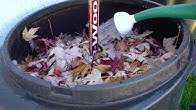 Compost_Video.jpg