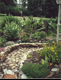 Xeriscape__20garden.gif